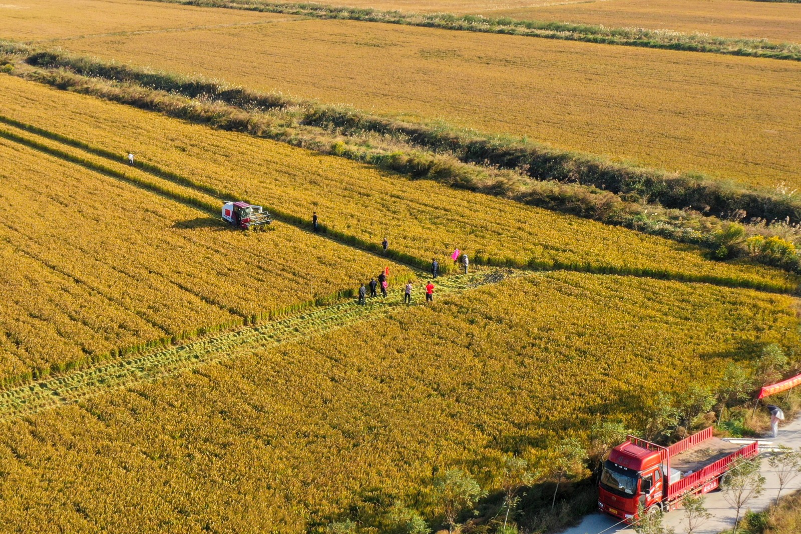 1月13日 星期二 (一版) 我縣2160畝鹽堿耕地改良利用項目通過市級驗收.jpg 1月13日 星期二 (一版) 我縣2160畝鹽堿耕地改良利用項目通過市級驗收.jpg