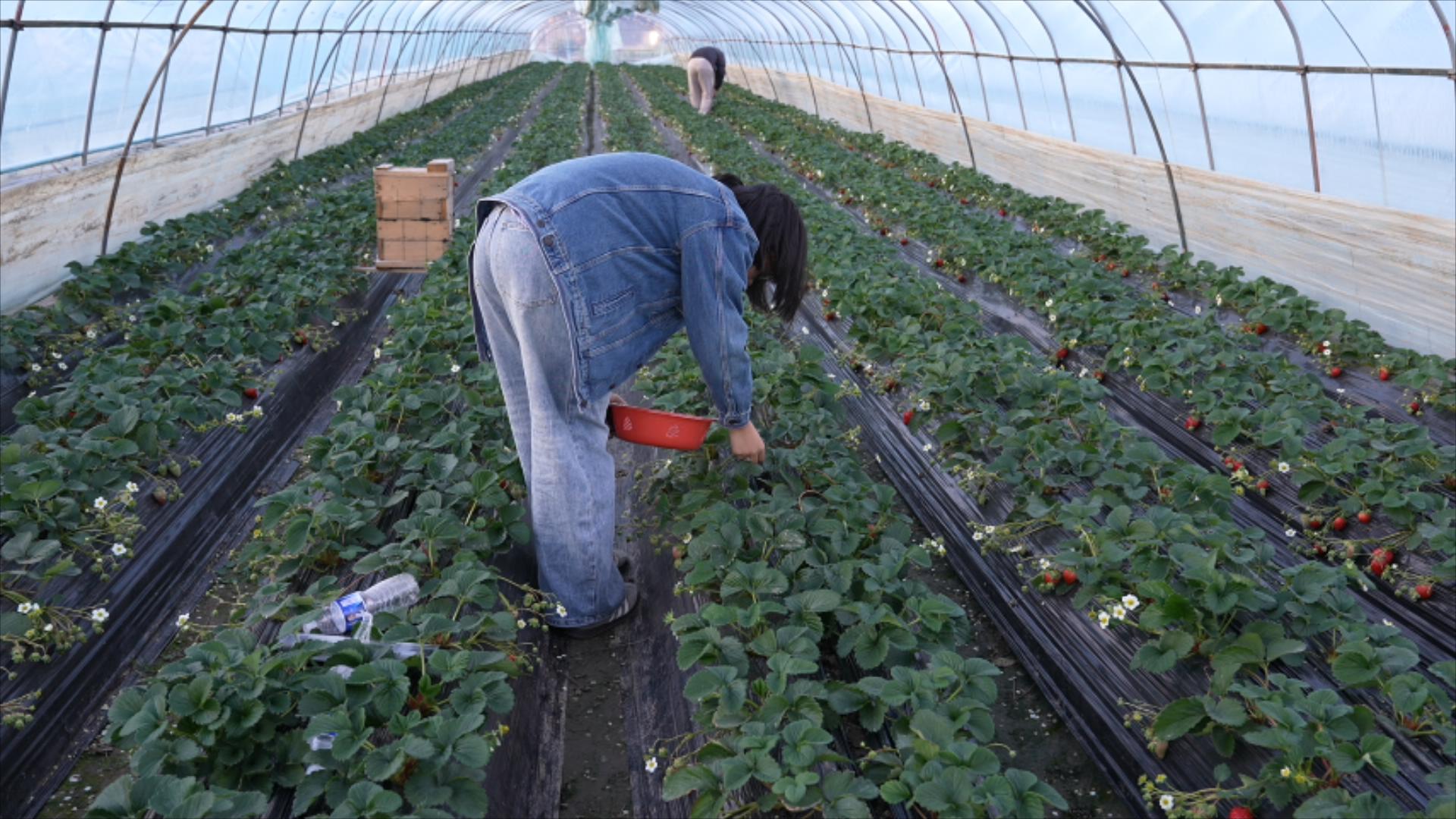 1月12日 星期一 （二版） 寒潮催生暖經(jīng)濟(jì)  冬日消費(fèi)熱力十足.jpg