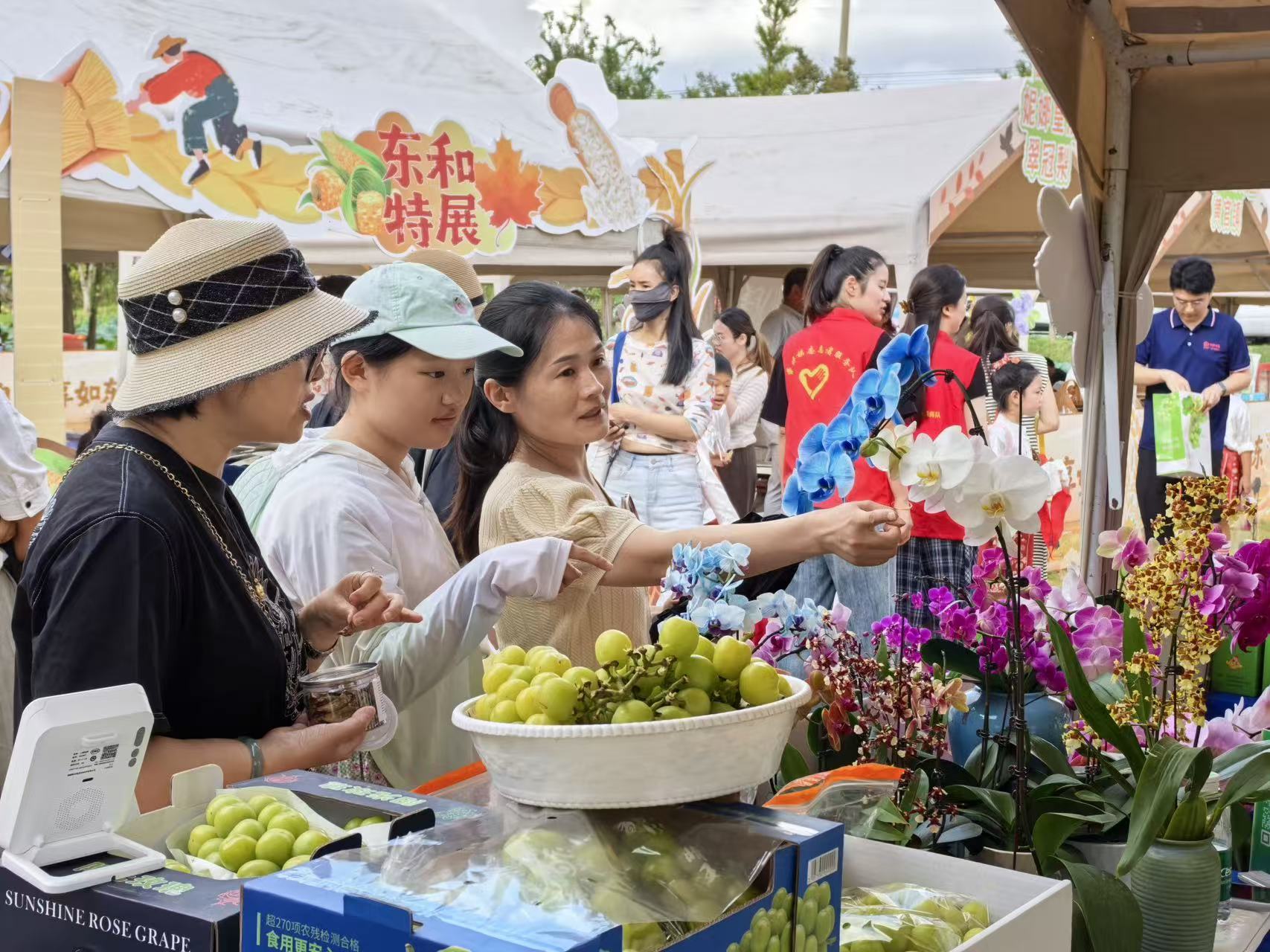 微信圖片_20250923151637_279_46.jpg 微信圖片_20250923151637_279_46.jpg