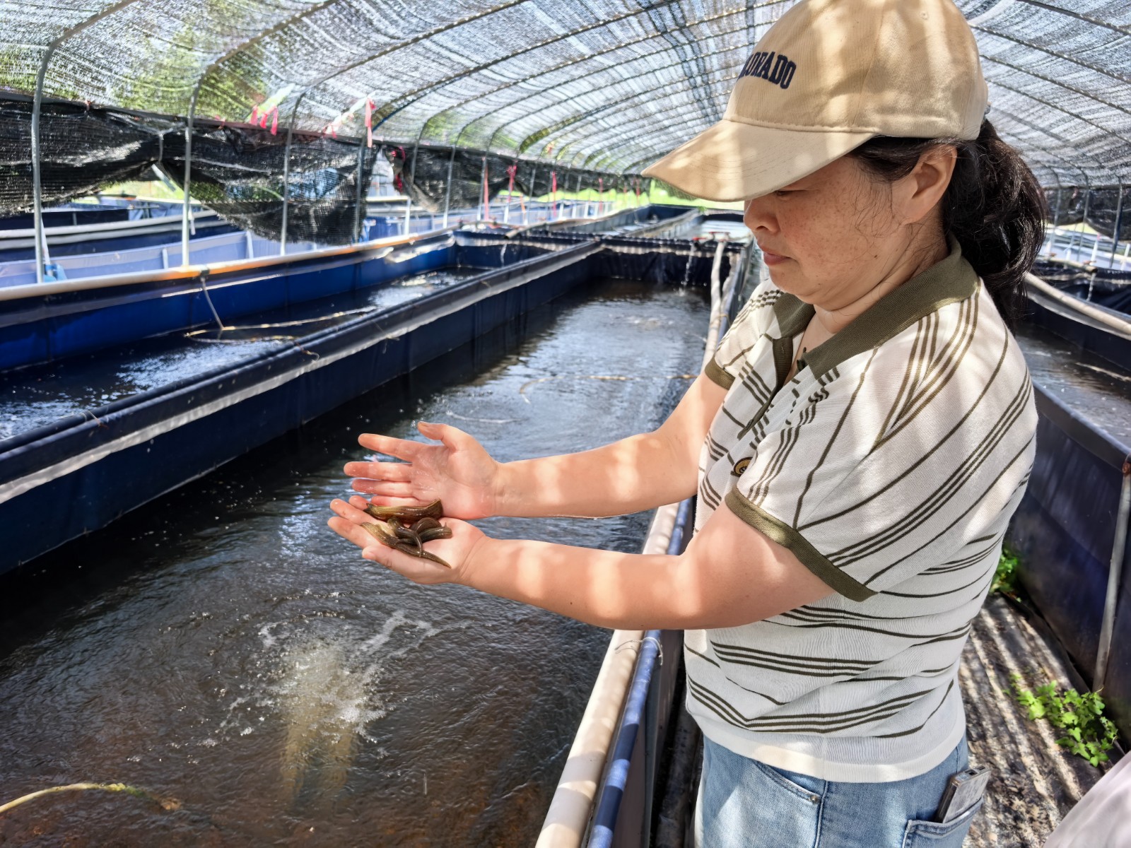 7月16日 星期二 （二版） 高溫下的“蛭”富保衛(wèi)戰(zhàn).jpg