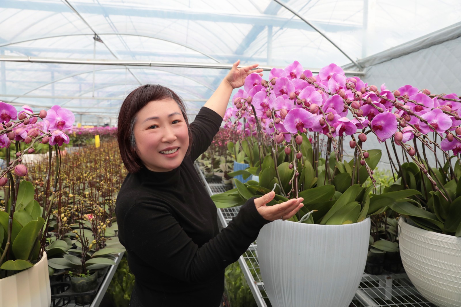 1月20日 星期二 （一版） 曹埠鎮應泉村：多元種植結碩果 產銷兩旺啟新程（二）.jpg