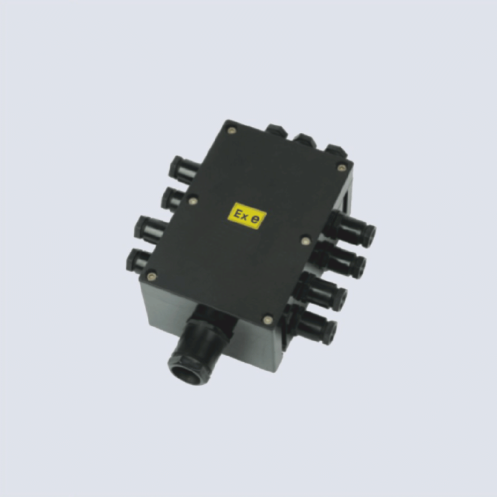 BJX8050系列防爆防腐接線箱(II C、 ExtD)